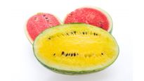 Yellow Watermelon: लाल और पीले तरबूज में क्‍या है अंतर, दोनों में से क्‍या खाना है फायदेमंद है?