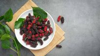 Mulberry Benefits: गर्मी में इम्यूनिटी बूस्ट करने के साथ शहतूत खाने से मिलते हैं ये 5 हेल्थ बेनिफिट्स