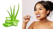 Aloe Vera For Oral Health: चमकदार दांतों के ल‍िए ऐलोवेरा से करें दंतमंजन, ऐसे करें इस्‍तेमाल