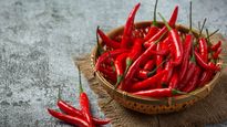 The Origin of Red Chilli: पुर्तगालियों के साथ भारत पहुंची थी लाल मिर्ची , 7 हजार साल से पुराना है इतिहास