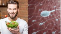 Foods to Increase Sperm Count : फर्टिलिटी बढ़ाने के लिए पुरुष रोजाना खाएं ये 7 फूड, बढ़ेगा स्पर्म काउंट