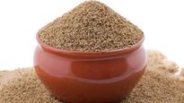 Benefits of Ajwain: एसिडिटी से लेकर वेटलॉस करता है अजवाइन, जानें इसके फायदे और कैसे करें यूज