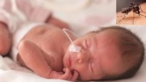 Vertical transmission of Dengue: जन्‍म लेते ही नवजात को हो सकता है डेंगू, जानें इस रेयर कंडीशन के बारे में यहा