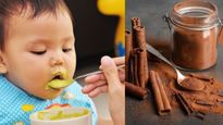 शिशुओं को दालचीनी खिलानी चाह‍िए या नहीं, जानें क्‍या कहते हैं एक्‍सपर्ट