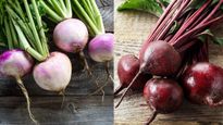 Shalgam vs Chukandar : एक जैसे द‍िखते हैं शलजम और चुकंदर, गुणों और स्‍वाद में है बड़ा अंतर, ये हैं फायदे