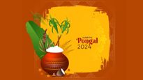 Happy Pongal 2024 Wishes Images: पोंगल के मौके पर दोस्तों-रिश्तेदारों के साथ शेयर करे ये बधाई संदेश