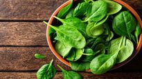 फायदे की चक्‍कर में भूलकर भी न खाएं जरुरत से ज्‍यादा पालक, वरना सेहत का हो जाएगा ये हाल