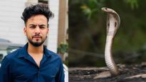 Elvish Yadav Case : सांप के जहर का ड्रग के तौर पर कैसे होता है इस्तेमाल, क‍ितने दिन रहता है नशा, जानें नुकसान