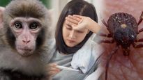 Monkey Fever : कर्नाटक में मंकी फीवर का कहर, जानें कितना खतरनाक है ये बुखार, ये है लक्षण और बचाव