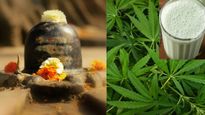 Mahashivratri 2024 : शिवभक्‍त क्‍यों पीते हैं भांग, जानें शिवरात्रि से जुड़ी परांपरा और ज्‍यादा पीने के नुकसान