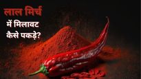 Asli-Nakli Lal Mirch : लाल मिर्च के नाम पर साबुन या ईंट तो नहीं खा रहे हैं आप? ऐसे पता करें