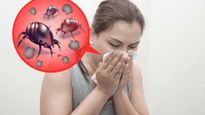 Dust Mite Allergy: आंखों से नहीं दिखते है डस्टमाइट, स्किन और डस्‍ट एलर्जी से बचने के लिए करें ये उपाय