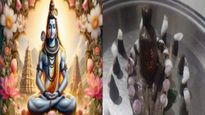 Sawan 2024: पार्थिव शिवलिंग की पूजा से मिलती है सभी कष्टों से मुक्ति, यहां देखें सावन में पूजन की पूरी विधि