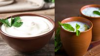 Curd vs Butter Milk: सेहत के लिए दोनों में से क्या है ज्यादा फायदेमंद?