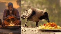 Panchbali Kya Hai: पितृ पक्ष में कौवे, कुत्ते, गाय आदि को ही क्यों खिलाया जाता है खाना?