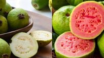 Red vs White Guava: लाल या सफेद अमरूद, दोनों में से कौन है ज्‍यादा ताकतवर?