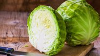 कहीं आप तो खरीद नहीं लाए स‍िंथेट‍िक पत्ता गोभी, खाने से तबीयत हो सकती है खराब, ऐसे करे नकली की पहचान
