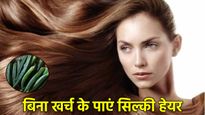 Hair Care Tips: सिल्की और हाइड्रेटिंग बाल चाहिए झटपट बनाएं भिंडी का हेयर मास्क, घर बैठे पाएं सैलून जैसा लुक