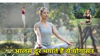 International Yoga Day 2025: थकान और आलस को कहें अलविदा, इन 5 योगासनों को बनाएं डेली रूटीन का हिस्सा