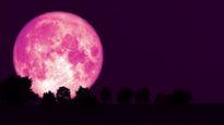Strawberry Moon 2025 : जानें कब और कहां देखें यह दुर्लभ पूर्णिमा का चांद