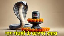 नाग पंचमी के दिन भूलकर भी न करें ये 5 गलतियां, नहीं तो रूठ जाएंगे शिव शंकर