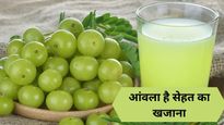 रोज खाएं एक आंवला और रहें 5 बड़ी बीमारियों से दूर, जानें खाने का सही तरीका