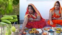 नहाय-खाय से पहले जानें गोल लौकी है फायदेमंद या लंबी? छठी मैया के व्रत में कौन रखेगी आपको हाइड्रेट