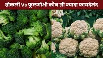 Broccoli vs Cauliflower: ब्रोकली या फूलगोभी, कौन सी सब्जी है सबसे ज्यादा हेल्दी?