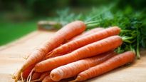 इन 5 लोगों को भूलकर भी नहीं खानी चाहिए गाजर, सेहत को हो सकता है गंभीर नुकसान