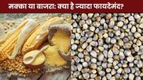 Makka Or Bajra: मक्का या बाजरा, सेहत के लिए कौन है ज्यादा फायदेमंद? जानें दोनों के पोषक तत्व और फायदे