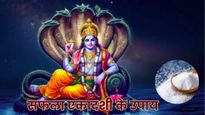 Saphala Ekadashi 2025 Upay: सफला एकादशी के दिन करें ये सरल उपाय, करियर में मिलेगी सफलता और नजर-दोष होगा दूर