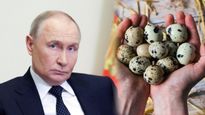 Vladimir Putin क्यों खाते हैं बटेर का अंडा? जानें इसके फायदे, पोषक तत्व और खाने का सही तरीका