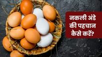 कहीं आप भी तो नहीं खा रहे नकली अंडे? इन 4 तरीकों से करें असली और नकली अंडे की पहचान