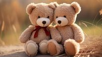 Teddy Day 2026: क्यों मनाया जाता है टेडी डे? प्यार के इजहार में इसका क्या है योगदान? जानें इस दिन का इतिहास
