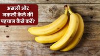 कहीं आप भी तो नहीं खा रहे नकली केला? इन आसान तरीकों से करें असली और नकली केले की पहचान