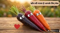 लाल, काली या नारंगी, सेहत के लिए कौन सी गाजर है सबसे ज्यादा पावरफुल?