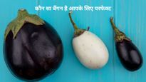Brinjal Benefits: छोटे, लंबे या सफेद बैंगन; जानें आपकी सेहत के लिए कौन सा है सबसे बेस्ट?