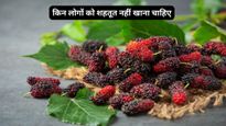 क्या आप भी बड़े चाव से खाते हैं शहतूत? जानें किन लोगों को भूलकर भी नहीं खाना चाहिए ये फल