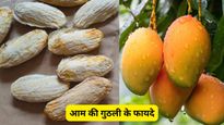 आम ही नहीं इसकी गुठली में भी छिपे हैं बेशुमार फायदे, पेट की समस्याओं से स्किन एलर्जी तक को जड़ से मिटाए