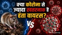 Coronavirus vs Hantavirus: दोनों में से कौन है ज्यादा खतरनाक? जानें लक्षण, बचाव और फैलने का तरीका
