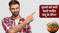 पुरुषों की इन 5 समस्याओं से छुटकारा दिला सकते हैं कद्दू के बीज, जाने सेवन का सही तरीका