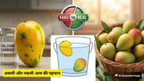 आप भी तो नहीं खा रहे केमिकल से पके आम? ऐसे करें असली-नकली की पहचान, जानें सेहत को होने वाले नुकसान