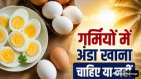इन 7 लोगों को गर्मियों में अंडों से करना चाहिए पूरी तरह परहेज, वरना बिगड़ सकती है तबीयत