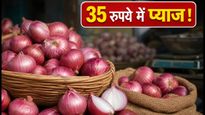 दिल्ली-NCR में प्याज की महंगाई से राहत: 35 रुपये किलो में यहां से खरीदें, जानें पूरी लिस्ट