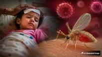 Gujarat Chandipura Virus: गुजरात में चांदीपुरा वायरस से 22 बच्चों की मौत, जानें इसके लक्षण और बचाव