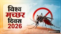 World Mosquito Day 2026: मच्छरों के काटने से हो सकती हैं ये खतरनाक बीमारियां, बचाव के लिए अपनाएं ये घरेलू उपाय