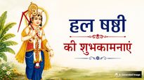 Hal Shashti 2026 Wishes: मां की ममता...ललही छठ पर प्रियजनों को भेजें ये खास शुभकामना संदेश