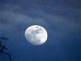 Water discovered on moon