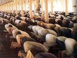 Inner Dimensions Of Ramadan And Fasting (From Bodily Hunger To Spiritual Hunger)