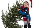 Fake Christmas Tree Hot This season